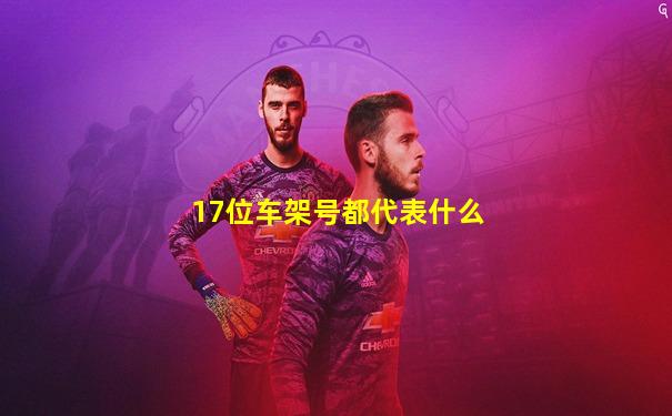 17位车架号都代表什么