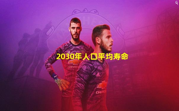 2030年人口平均寿命