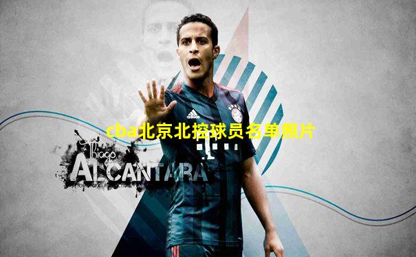 cba北京北控球员名单照片