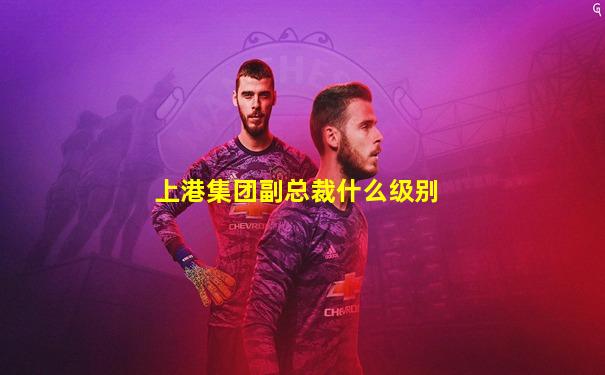 上港集团副总裁什么级别