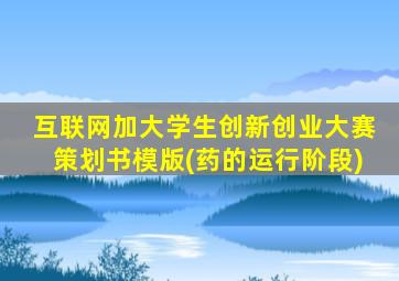 互联网加大学生创新创业大赛策划书模版(药的运行阶段)