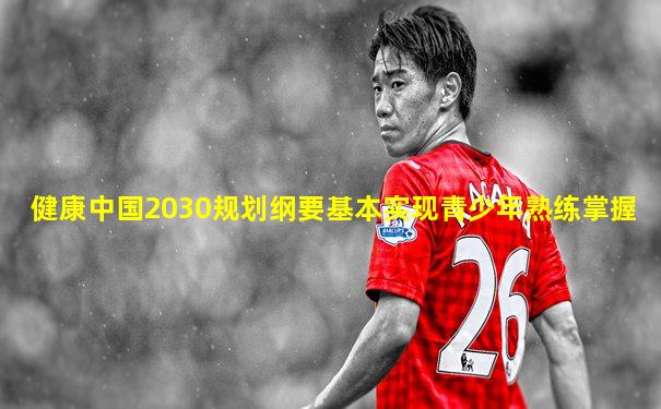 健康中国2030规划纲要基本实现青少年熟练掌握