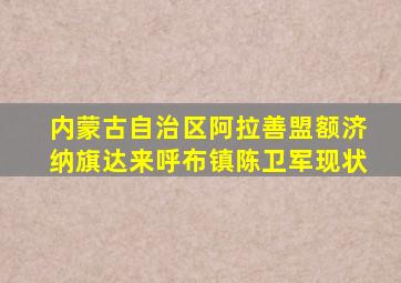 内蒙古自治区阿拉善盟额济纳旗达来呼布镇陈卫军现状