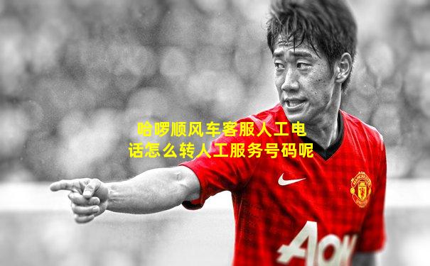 哈啰顺风车客服人工电话怎么转人工服务号码呢
