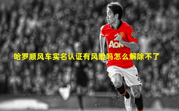 哈罗顺风车实名认证有风险吗怎么解除不了
