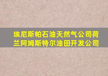 埃尼斯帕石油天然气公司荷兰阿姆斯特尔油田开发公司