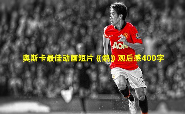 奥斯卡最佳动画短片《鹬》观后感400字