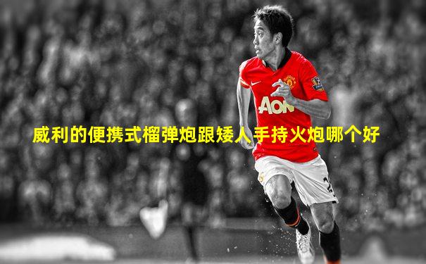 威利的便携式榴弹炮跟矮人手持火炮哪个好