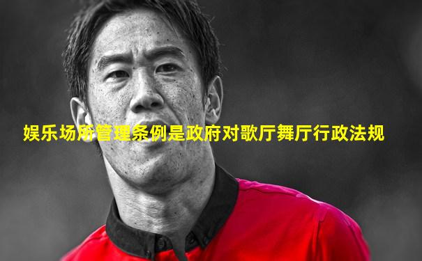 娱乐场所管理条例是政府对歌厅舞厅行政法规
