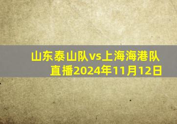 山东泰山队vs上海海港队直播2024年11月12日