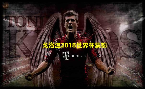戈洛温2018世界杯集锦