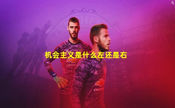 机会主义是什么左还是右
