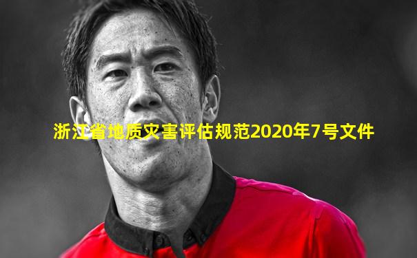 浙江省地质灾害评估规范2020年7号文件