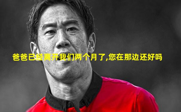 爸爸已经离开我们两个月了,您在那边还好吗
