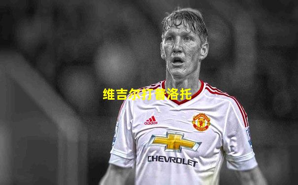 维吉尔打普洛托