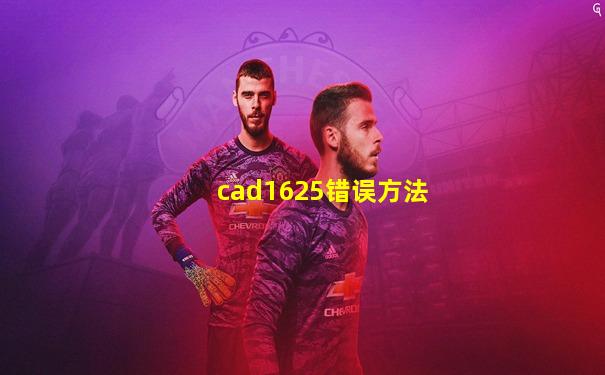 cad1625错误方法
