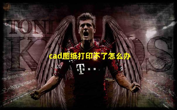 cad图纸打印不了怎么办