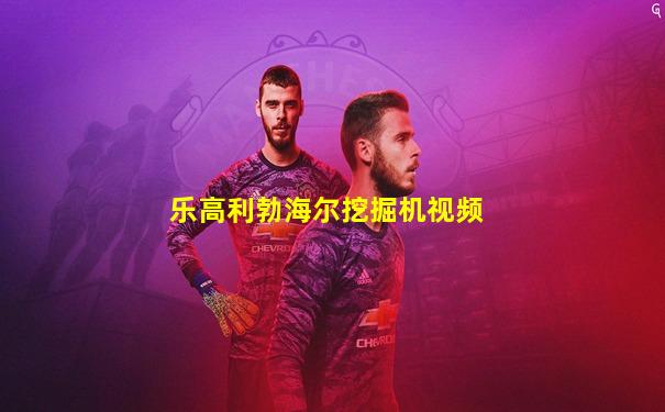 乐高利勃海尔挖掘机视频