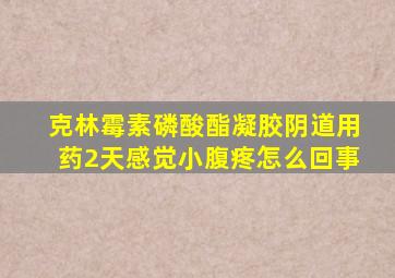 克林霉素磷酸酯凝胶阴道用药2天感觉小腹疼怎么回事