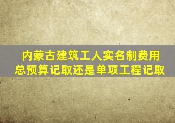 内蒙古建筑工人实名制费用总预算记取还是单项工程记取