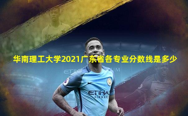 华南理工大学2021广东省各专业分数线是多少