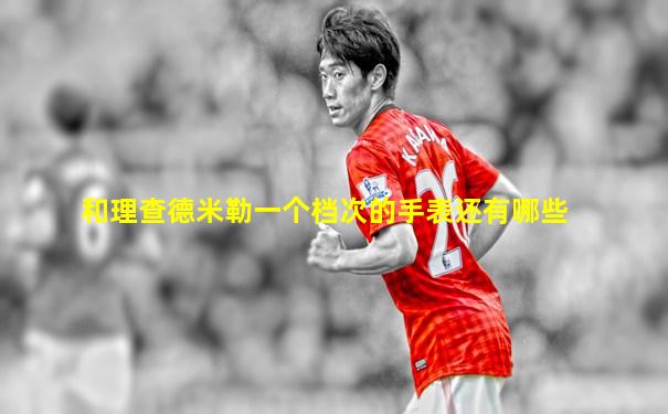 和理查德米勒一个档次的手表还有哪些