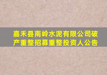 嘉禾县南岭水泥有限公司破产重整招募重整投资人公告