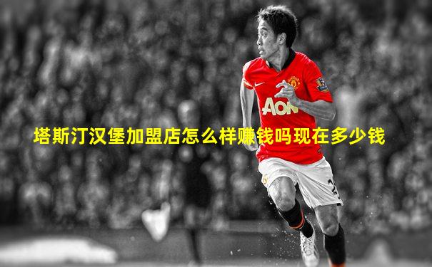 塔斯汀汉堡加盟店怎么样赚钱吗现在多少钱