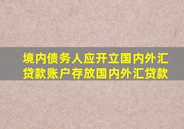 境内债务人应开立国内外汇贷款账户存放国内外汇贷款