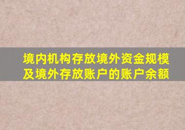 境内机构存放境外资金规模及境外存放账户的账户余额