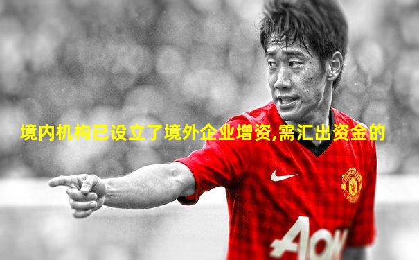 境内机构已设立了境外企业增资,需汇出资金的