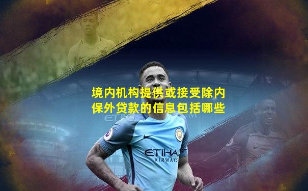 境内机构提供或接受除内保外贷款的信息包括哪些