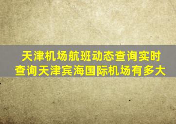 天津机场航班动态查询实时查询天津宾海国际机场有多大