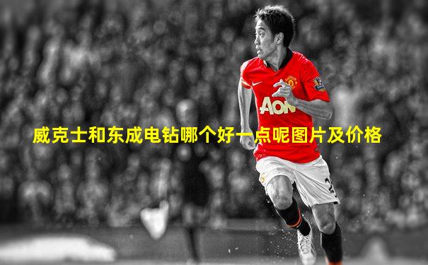 威克士和东成电钻哪个好一点呢图片及价格
