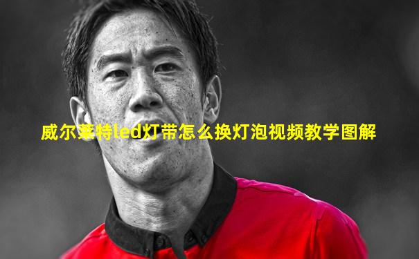 威尔莱特led灯带怎么换灯泡视频教学图解