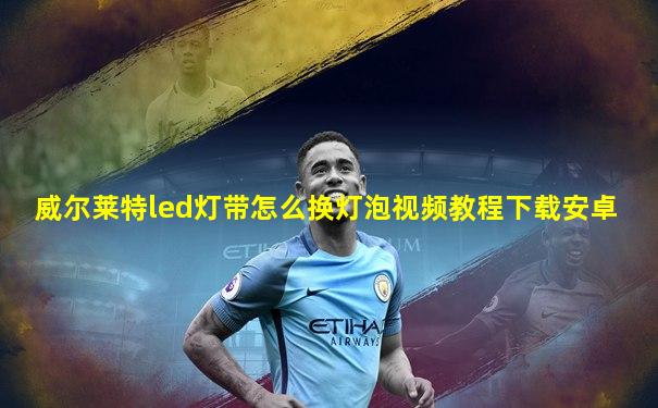 威尔莱特led灯带怎么换灯泡视频教程下载安卓
