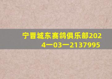 宁晋城东赛鸽俱乐部2024一03一2137995
