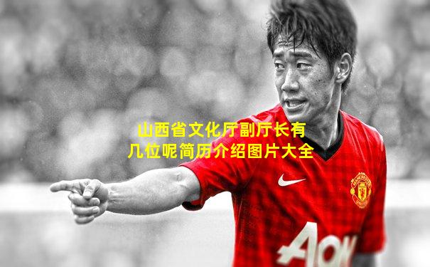 山西省文化厅副厅长有几位呢简历介绍图片大全