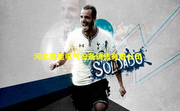 河北奥能电气设备销售有限公司