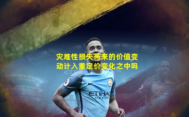 灾难性损失带来的价值变动计入重定价变化之中吗