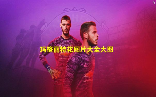 玛格丽特花图片大全大图