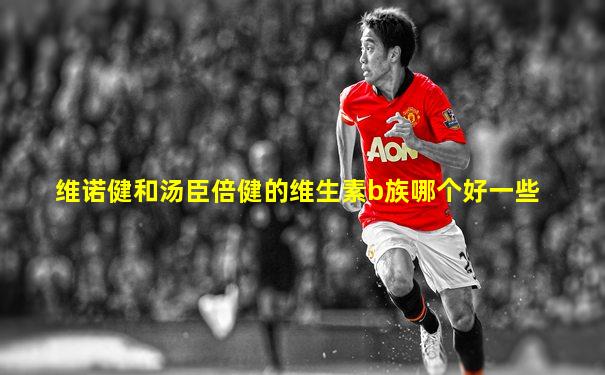 维诺健和汤臣倍健的维生素b族哪个好一些