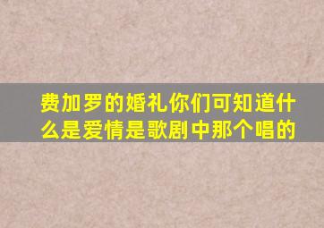 费加罗的婚礼你们可知道什么是爱情是歌剧中那个唱的