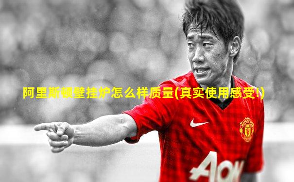阿里斯顿壁挂炉怎么样质量(真实使用感受!)
